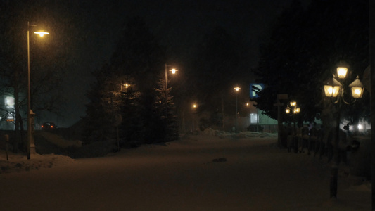 夜幕下雪大道的风景有fir树和灯笼视频