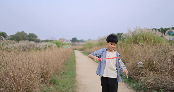 快乐的男孩在芦苇荡吹泡泡唯美慢镜头视频