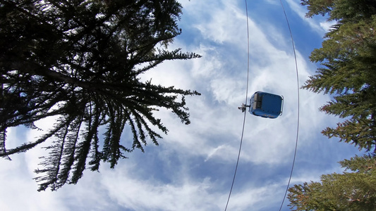 在松林树中移动的Gondola机舱滑雪电梯下视频