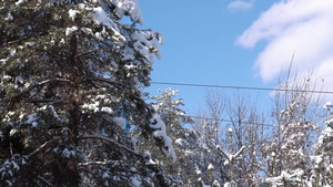 有电缆的滑雪电梯10秒视频