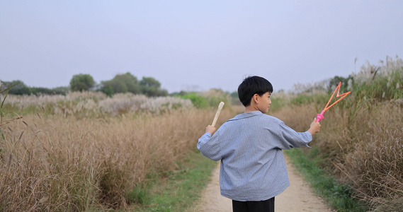 快乐的男孩在芦苇荡吹泡泡唯美慢镜头视频