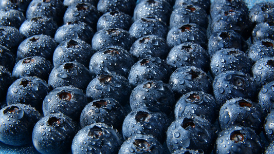 4K蓝莓洒水由暗变量特效视频