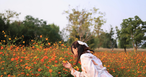 美女在公园秋游赏花慢镜视频