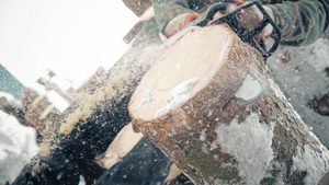 男人的林木工人用电锯锯锯松树9秒视频