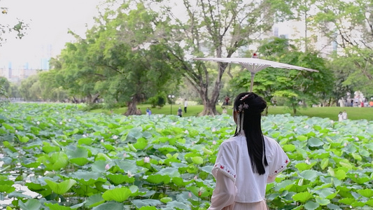 1080升格古装汉服少女与荷花视频