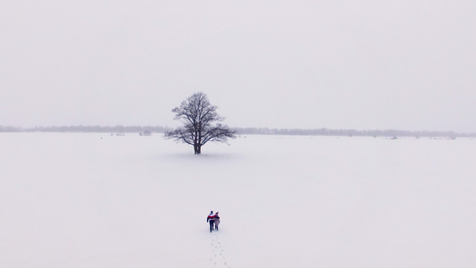 年轻可爱的情侣在冬季雪田中行走视频