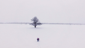 年轻可爱的情侣在冬季雪地中行走6秒视频