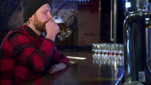 男人在酒吧喝啤酒13秒视频