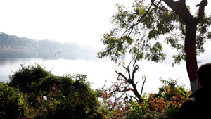 在湖边的丛林里看着壮观的风景23秒视频