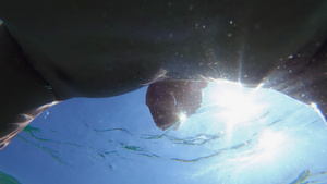 专业的游泳运动员游泳健操水下观光慢动作30秒视频