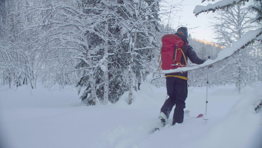 在西伯利亚滑雪一个人在白雪皑皑的森林里滑雪视频