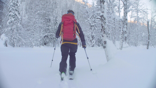 一个男人在西比里亚的雪林里滑雪视频