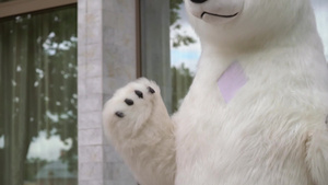 在户外的北极熊玩偶11秒视频