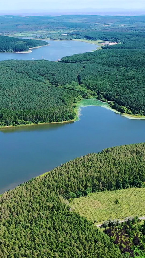 多角度航拍国家5A景点净月潭国家森林公园吉林八景73秒视频
