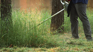 男人用修剪器割草在公园或花园的树木上穿着深色衣服的29秒视频