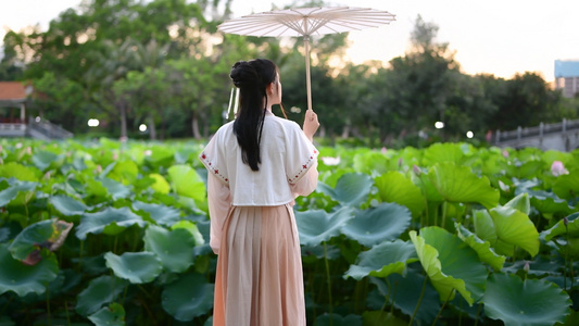 4K古装汉服少女与荷花视频