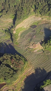 航拍湖南新化水车镇乡村梯田风景[沅陵]视频