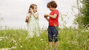 小男孩和女孩在绿色的夏日田野上散步时抚摸牛蒡花年轻30秒视频