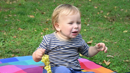 小男孩吃葡萄在小饼上视频