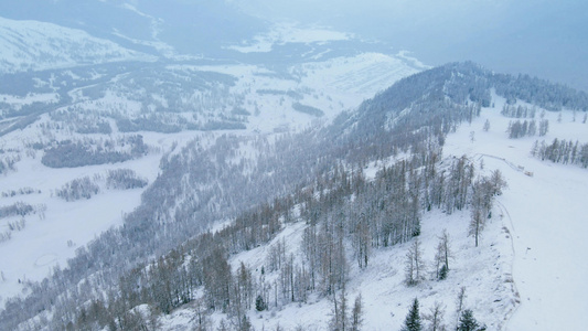 4K航拍森林暴雪景自然风光视频