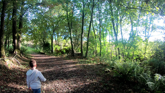 快乐的男孩徒步在森林中背视视频
