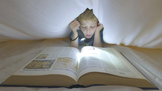 男孩子看一本大书在小矮人下面视频