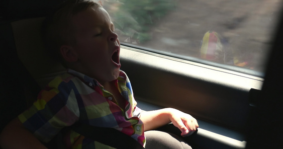 婴儿乘车旅行和打哈哈哈哈视频