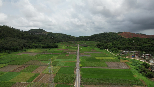 农田间道路航拍视频