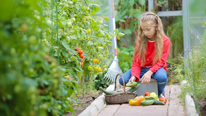 小女孩在温室里摘蔬菜23秒视频