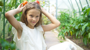 可爱的小女孩在温室收获黄瓜和西红柿9秒视频