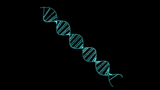 dna数字特殊结构科学生物技术动画3d在黑屏上旋转视频