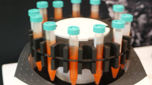 玻璃试管烧瓶中的液体试剂医学制药实验室设备视频