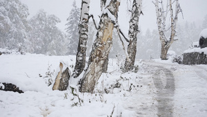 4K升格禾木契巴罗依村的鹅毛大雪15秒视频