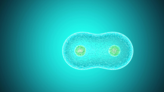 青色背景的3d分裂细胞动画视频