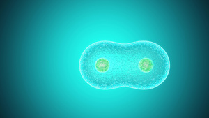 青色背景的3d分裂细胞动画16秒视频