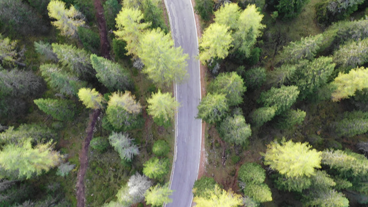 山路蛇纹石意大利多洛米蒂山秋季山脉的航拍画面意大利视频