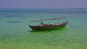 阳光灿烂的海岸海滩在棕榈附近有明亮沙子背景的绿绿海滨15秒视频