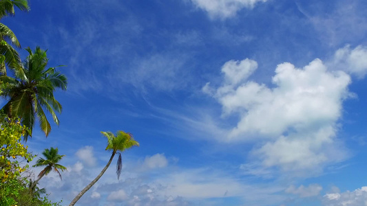 棕榈附近蓝水和清洁沙滩背景的浅蓝水风光明亮阳光明媚视频