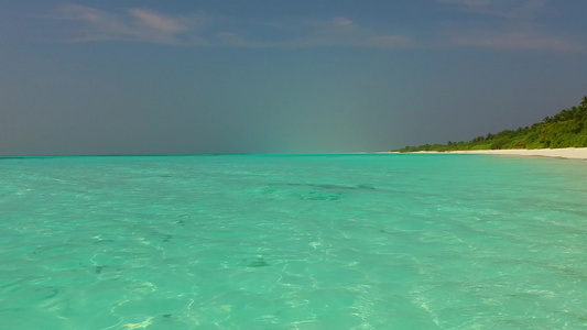 由松绿的环礁湖和棕榈附近的白沙背景组成的完美海滨海滩视频