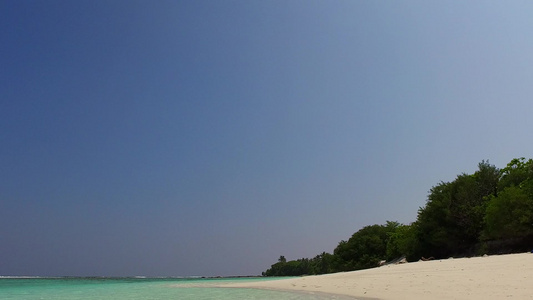 以清晰的海洋和靠近珊瑚礁的明亮沙滩背景来观察海滩野生视频