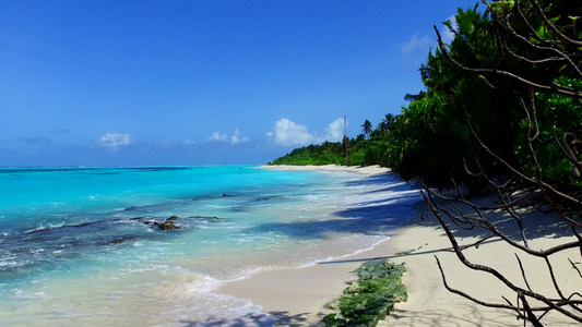 棕榈附近白沙背景蓝海异国情调海景海滩航行的温暖海景视频