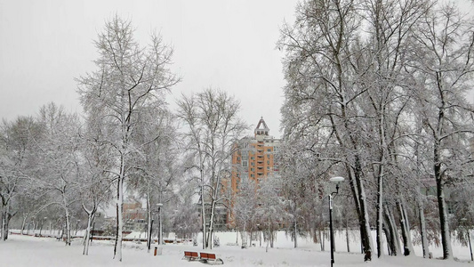 由雪覆盖的库伊夫乌黑纳塔卡公园视频
