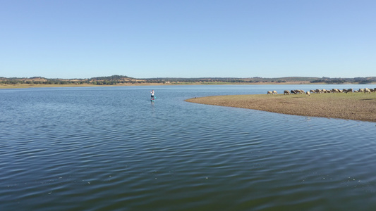 在Portugal的Alentejo大坝湖水库上在视频