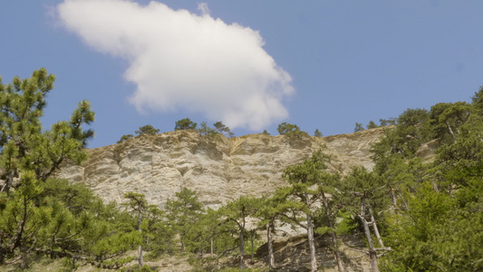 高山和夏日树上阳光明媚的蓝天下云层风景显示在高山和视频