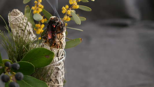 干白鼠尾草涂抹棒放松和芳香疗法在通灵仪式草药治疗瑜伽视频