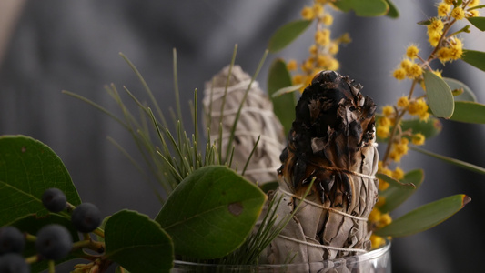 干白鼠尾草涂抹棒放松和芳香疗法在通灵仪式草药治疗瑜伽视频