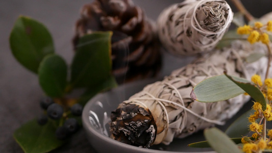 干白鼠尾草涂抹棒放松和芳香疗法在通灵仪式草药治疗瑜伽视频