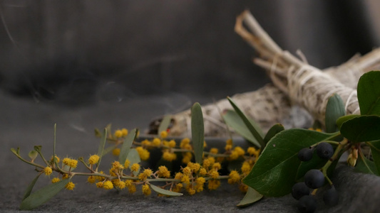 干白鼠尾草涂抹棒放松和芳香疗法在通灵仪式草药治疗瑜伽视频