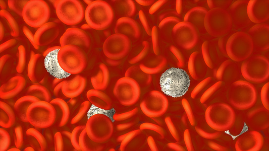血细胞3d动画视频