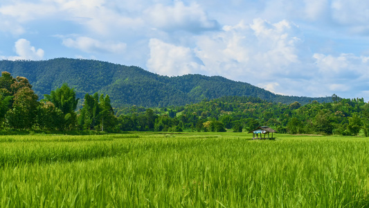 时空间稻田的小小屋倒塌后面有一座山云层飞速移动视频